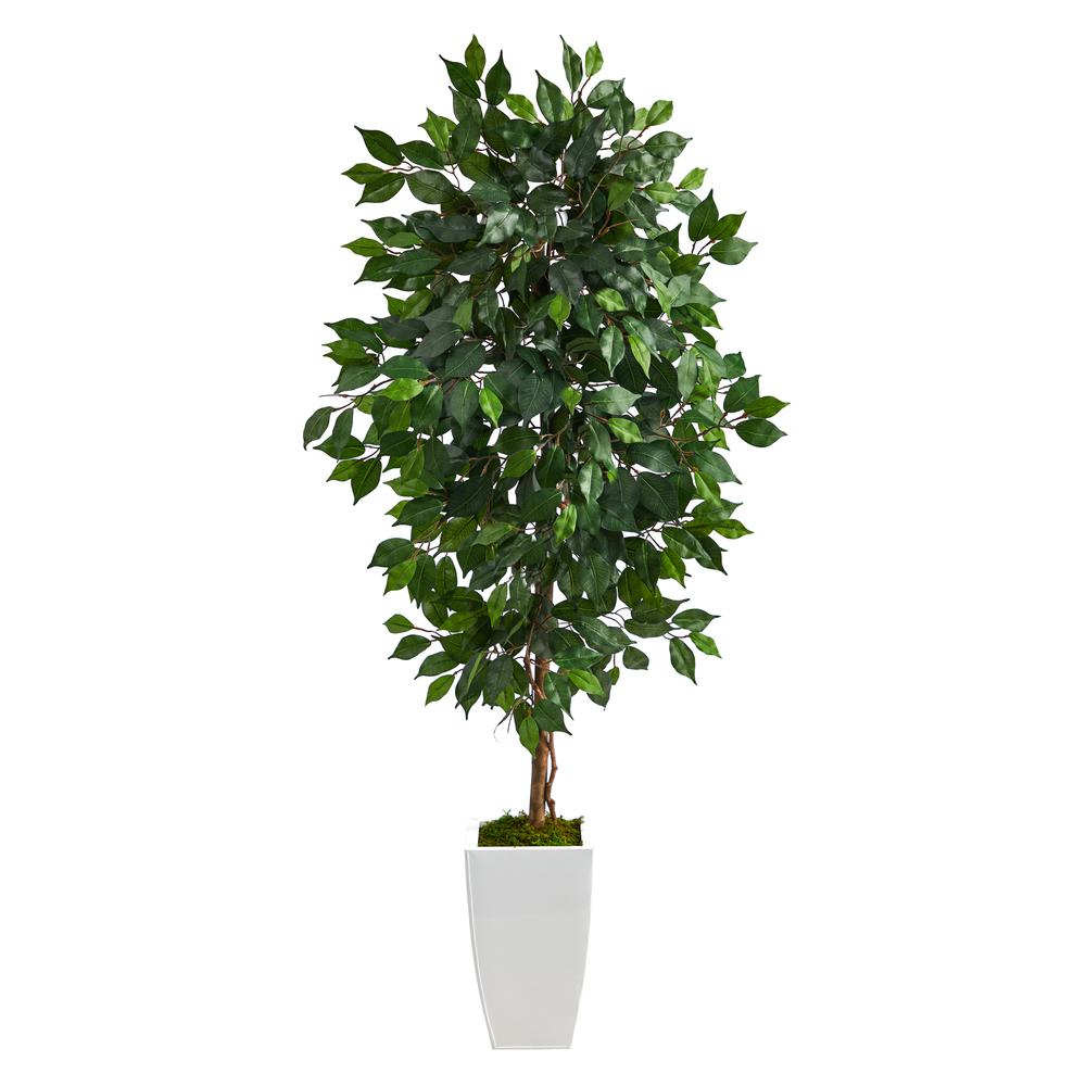 4.5ft. Ficus Artificial Tree in White Metal Planter. Picture 1