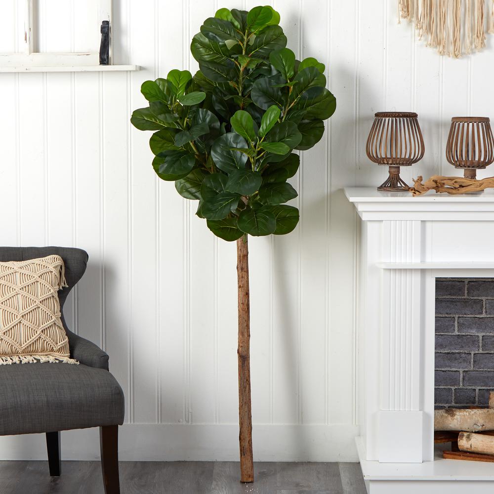 5.5ft. Artificial Fiddle Leaf Tree (No Pot). Picture 4