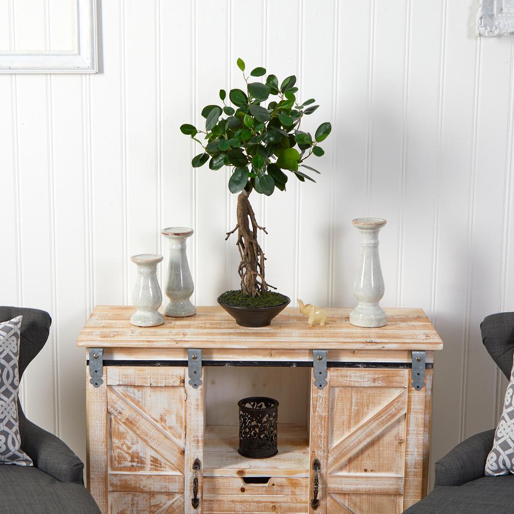 2ft. Ficus Bonsai Artificial Tree in Decorative Planter. Picture 4