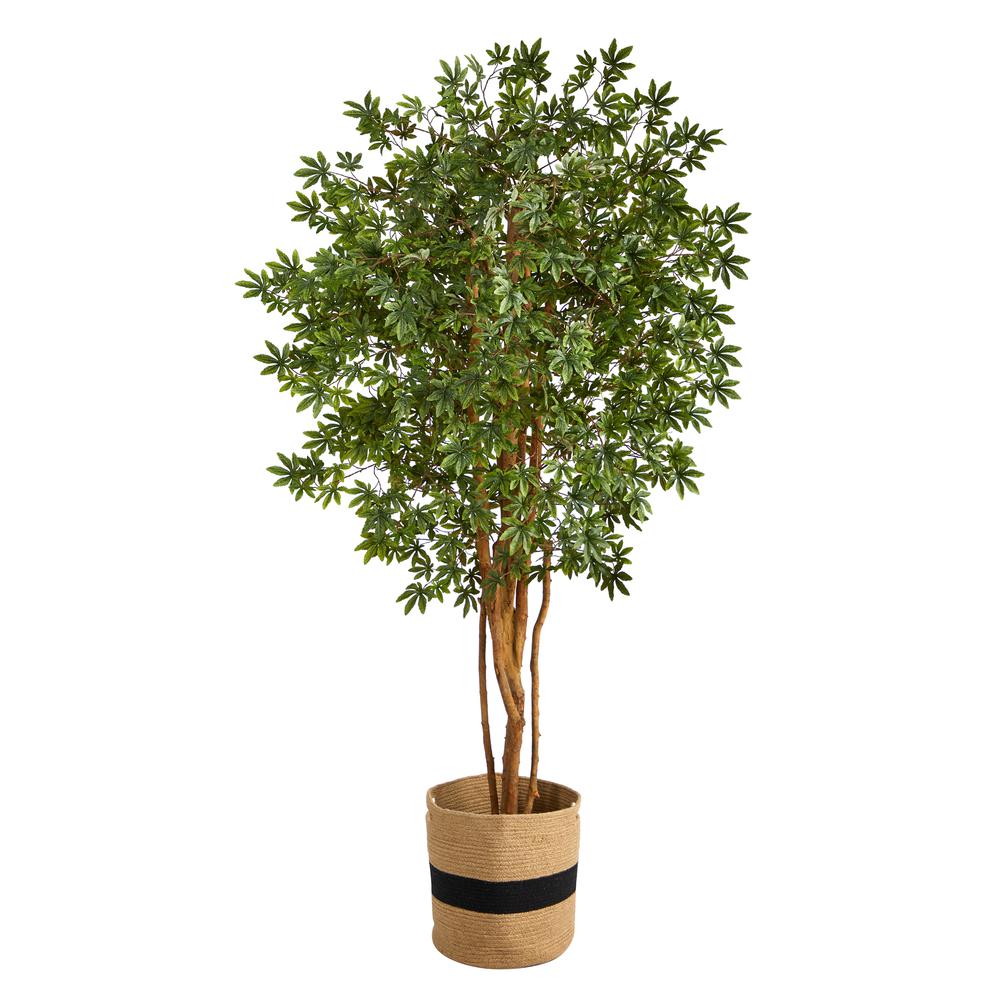 6ft. Japanese Maple Artificial Tree in Handmade Natural Cotton Planter. Picture 1