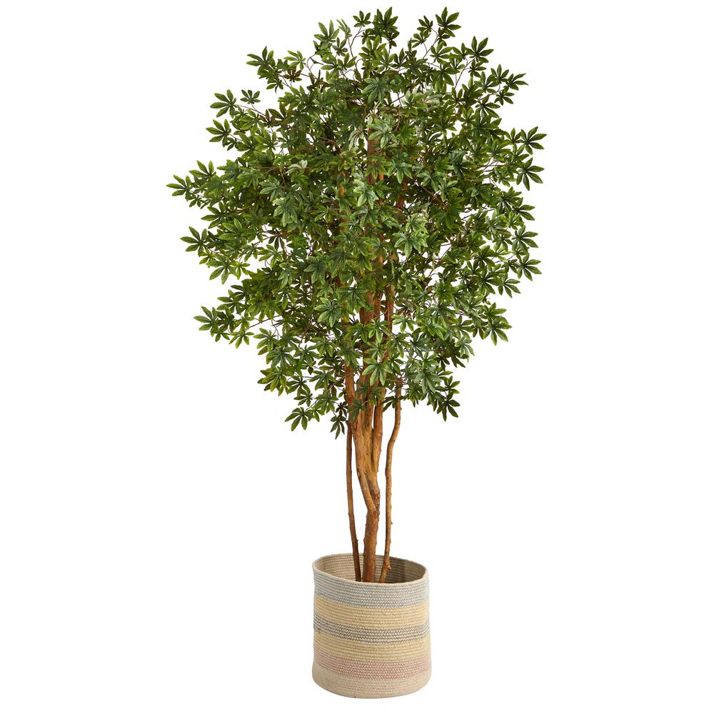 Japanese Maple Artificial Tree in Handmade Natural Cotton Woven Planter. Picture 1