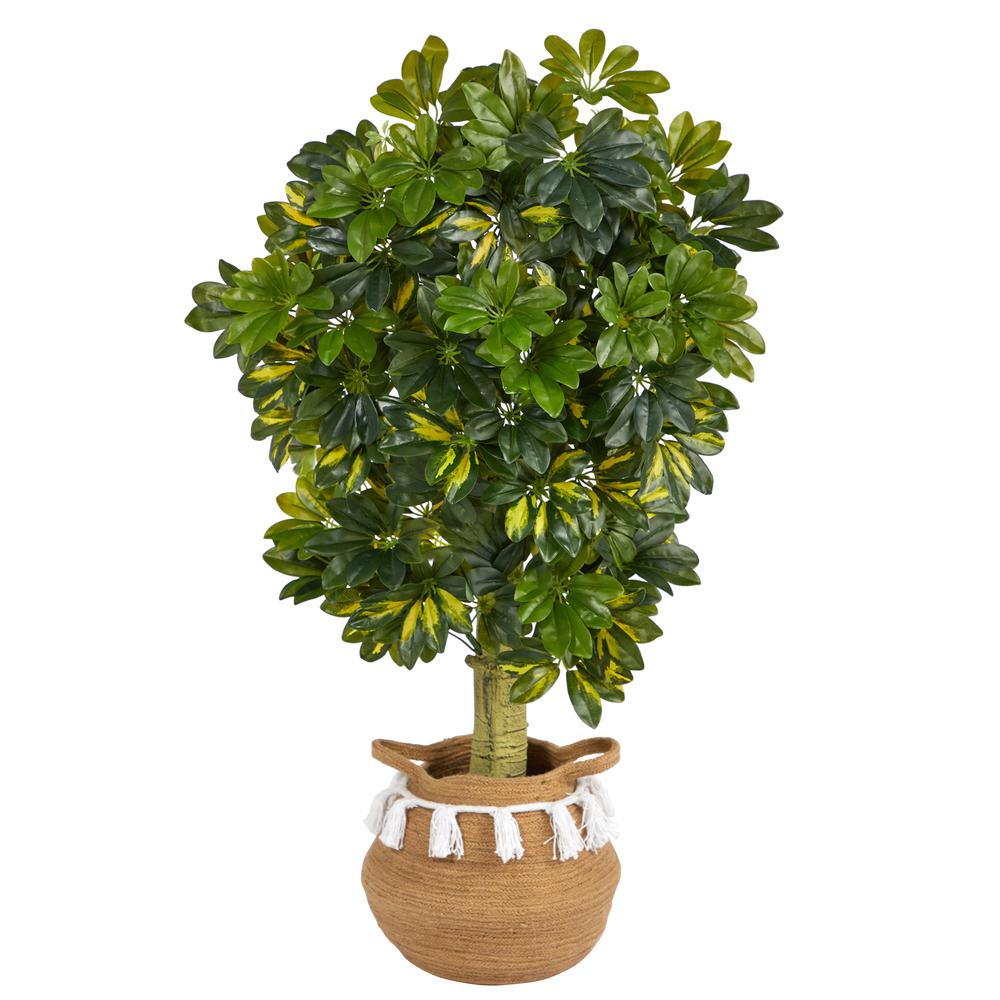 Schefflera Artificial Tree in Boho Chic Handmade Natural Cotton Woven Planter. Picture 1