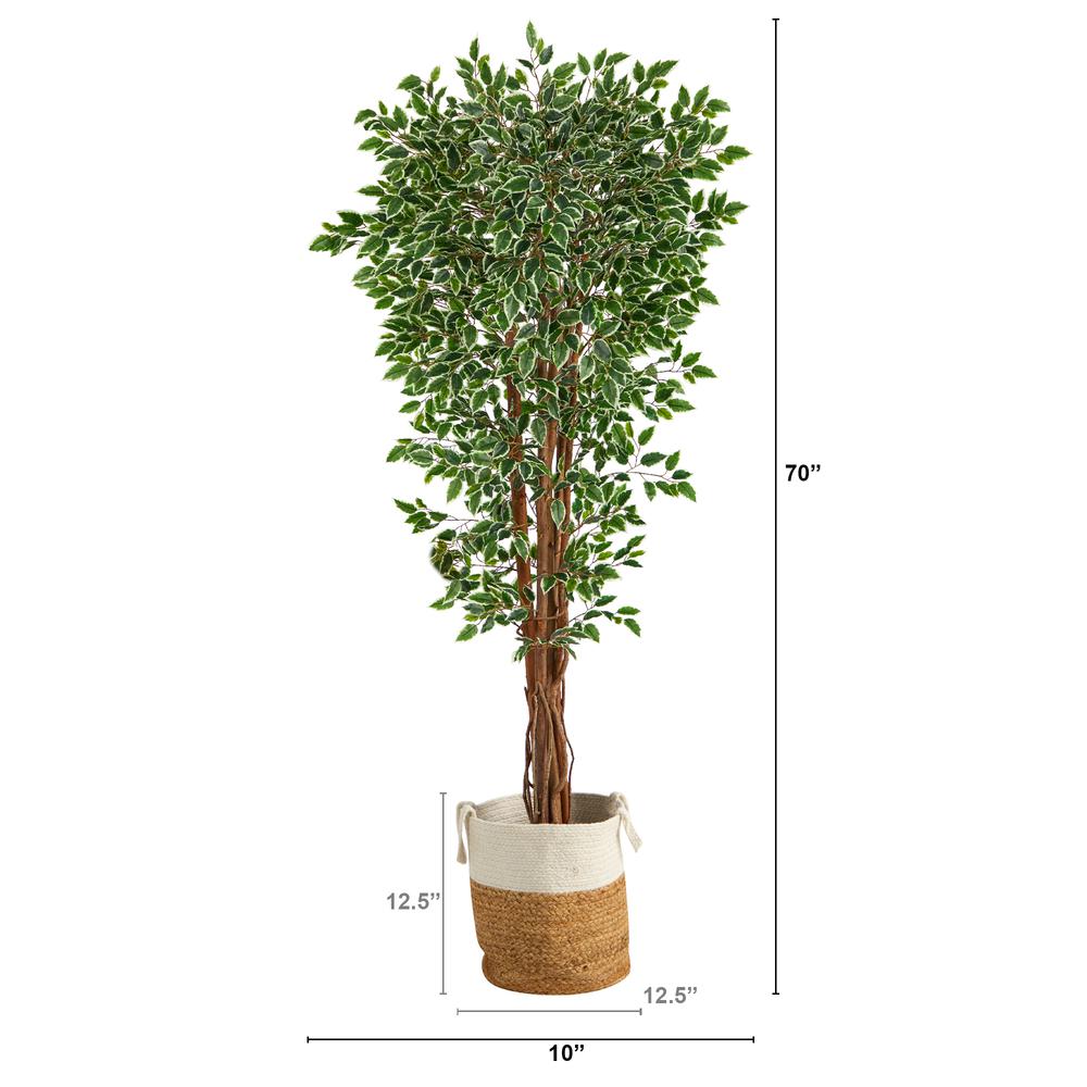 70in. Variegated Ficus Artificial Tree in Handmade Planter. Picture 2