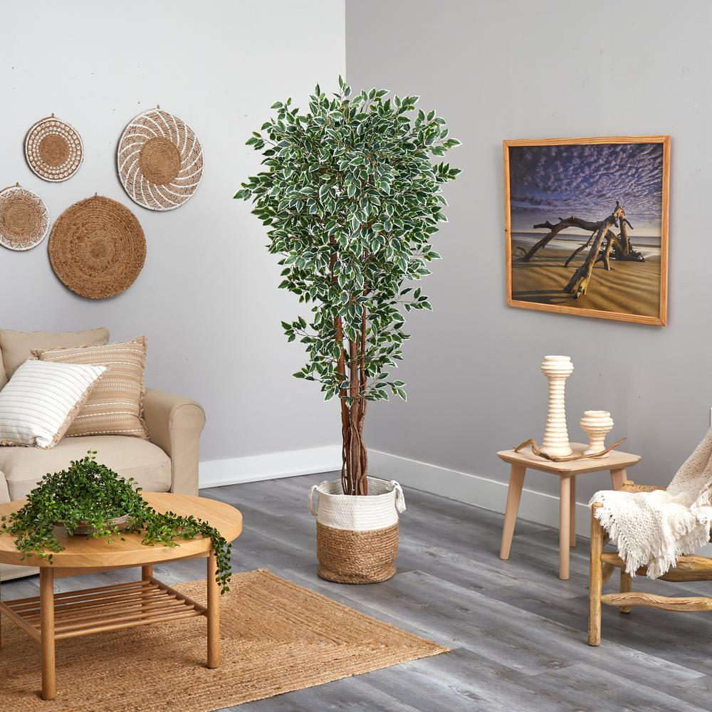 70in. Variegated Ficus Artificial Tree in Handmade Planter. Picture 4