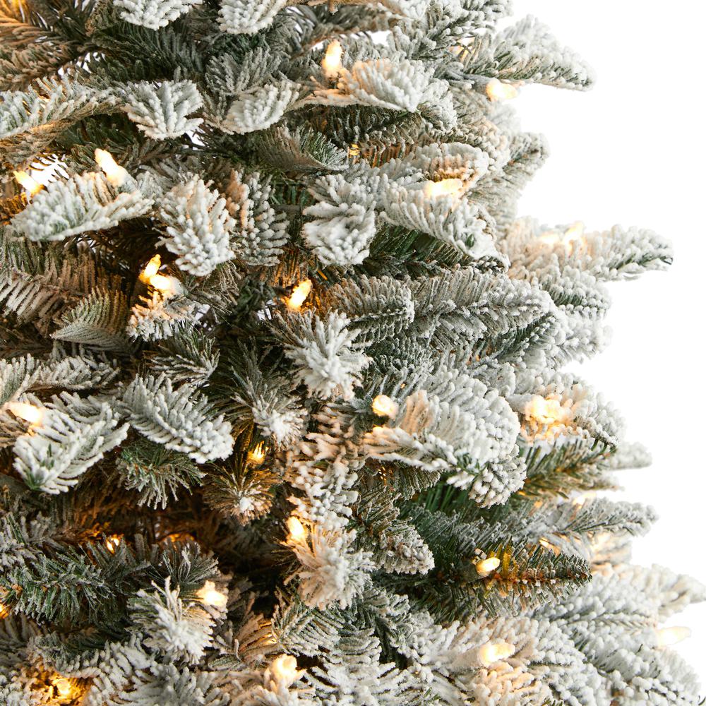 4ft. Flocked North Carolina Fir Artificial Christmas Tree with 250 Warm White Lights and 779 Bendable Branches. Picture 4