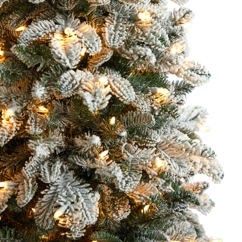 5ft. Flocked North Carolina Fir Artificial Christmas Tree with 350 Warm White Lights and 1247 Bendable Branches. Picture 3