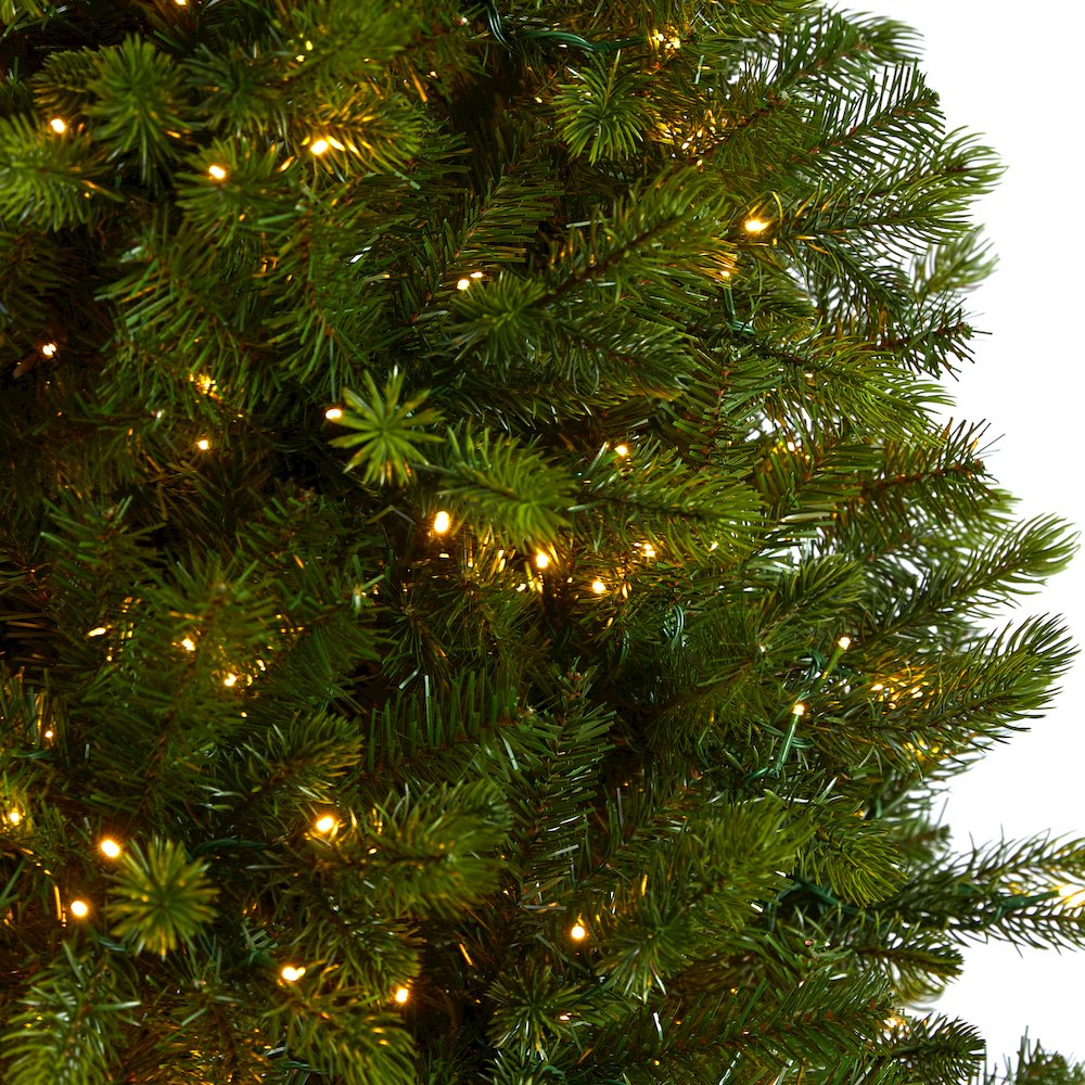 9.5ft. Slim Colorado Mountain Spruce Christmas Tree with 1400 Warm LED Lights. Picture 4