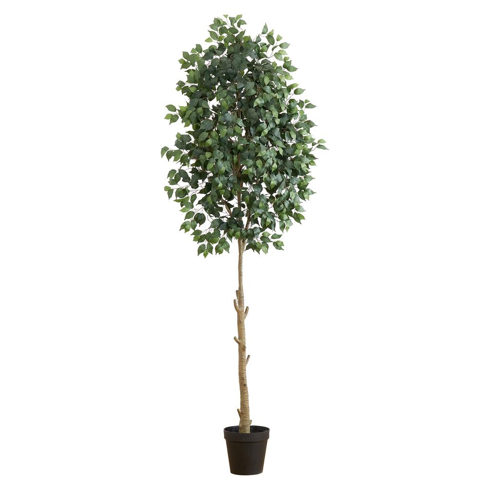 9ft. Artificial Ficus Tree. Picture 1