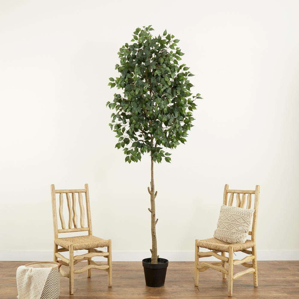 9ft. Artificial Ficus Tree. Picture 4
