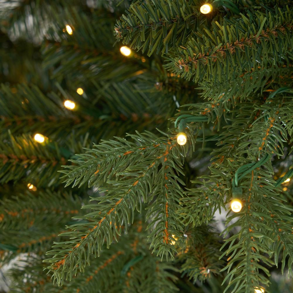 11ft. Belgium Fir Natural-Look Artificial Christmas Tree. Picture 2