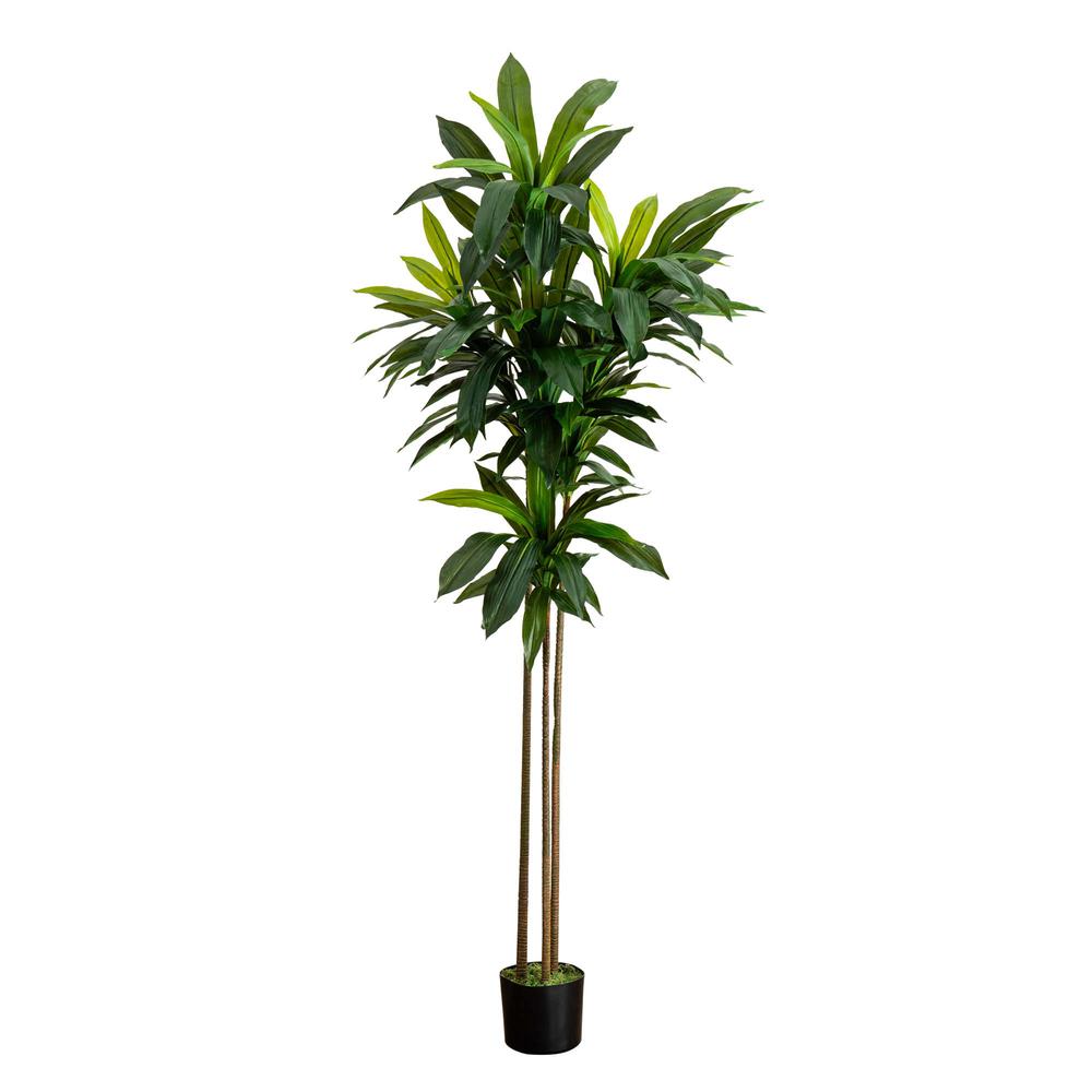 7ft. Artificial Dracaena Tree with Real Touch Leaves. Picture 5