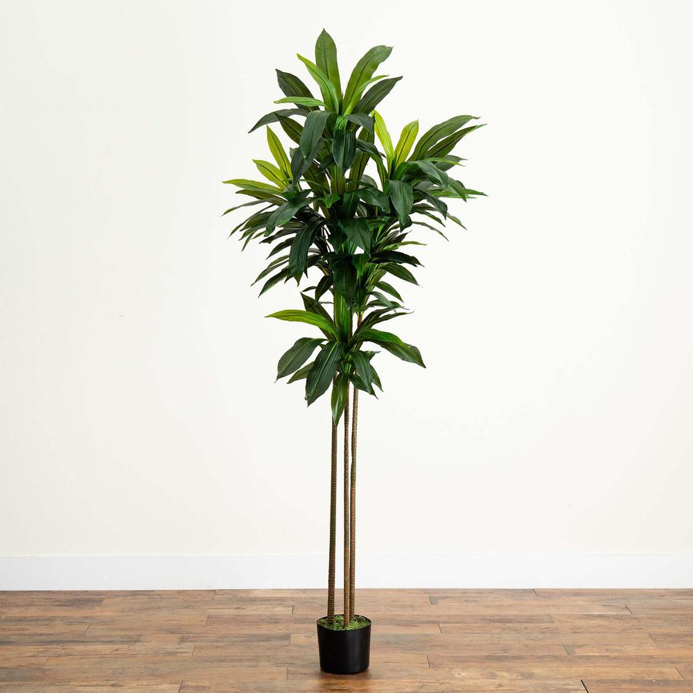 7ft. Artificial Dracaena Tree with Real Touch Leaves. Picture 3
