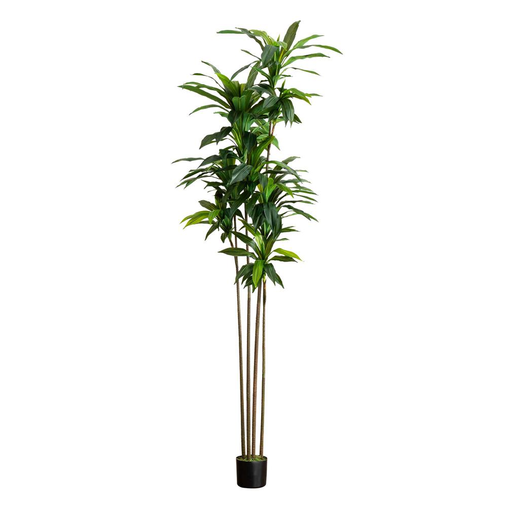 8ft. Artificial Dracaena Tree with Real Touch Leaves. Picture 5