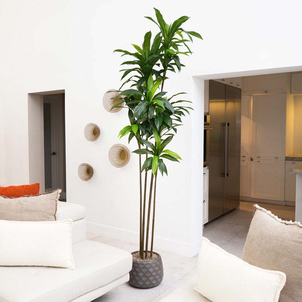 8ft. Artificial Dracaena Tree with Real Touch Leaves. Picture 4