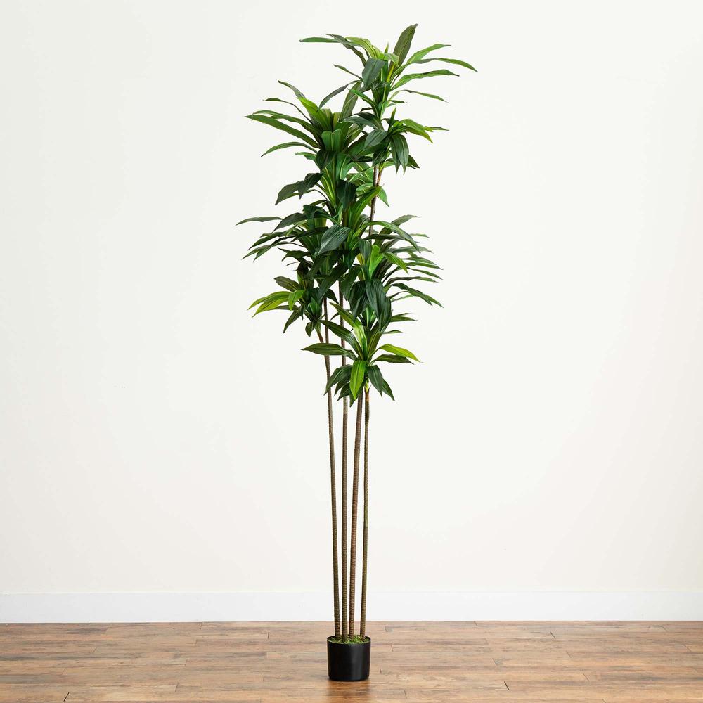 8ft. Artificial Dracaena Tree with Real Touch Leaves. Picture 3
