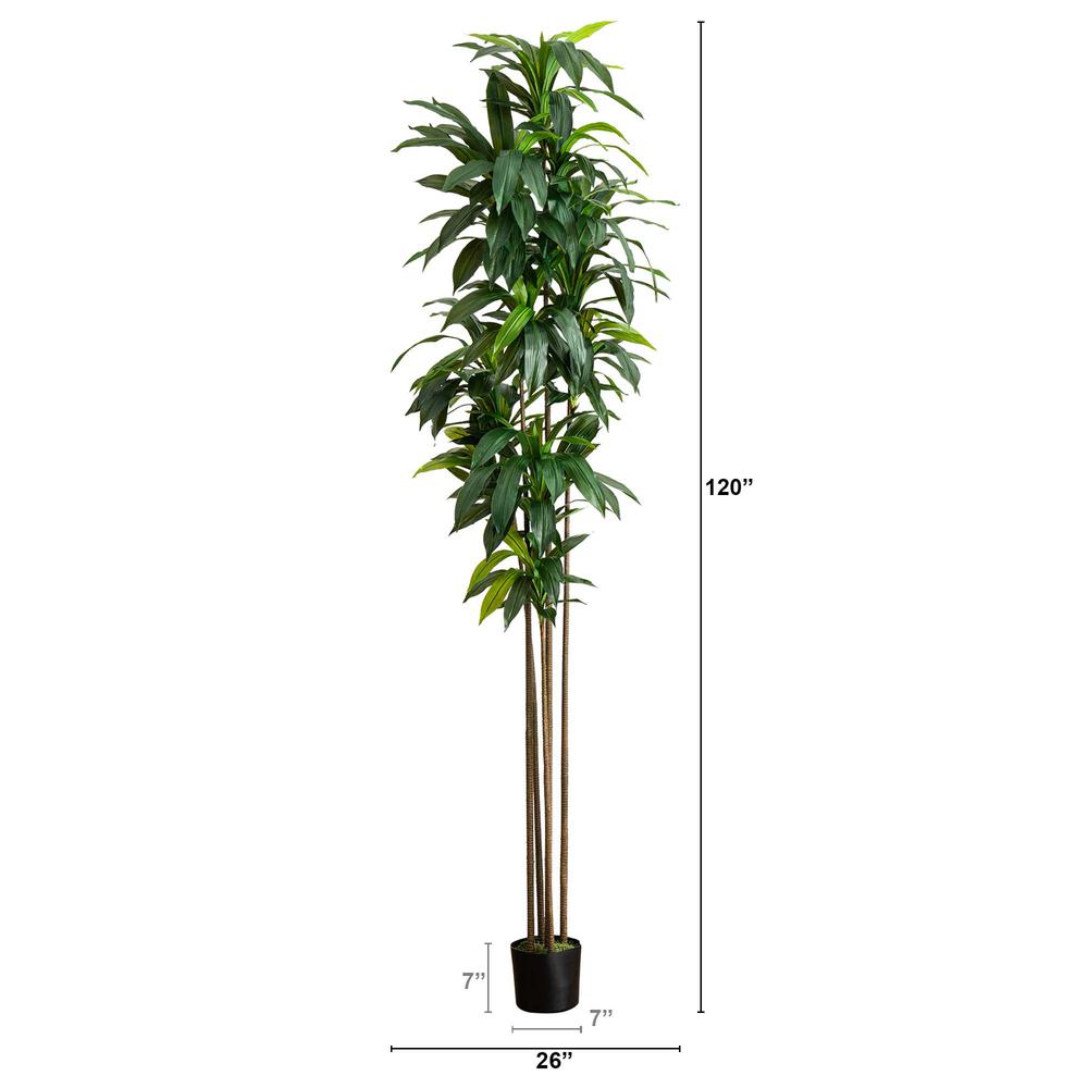 10ft. Artificial Dracaena Tree with Real Touch Leaves. Picture 1