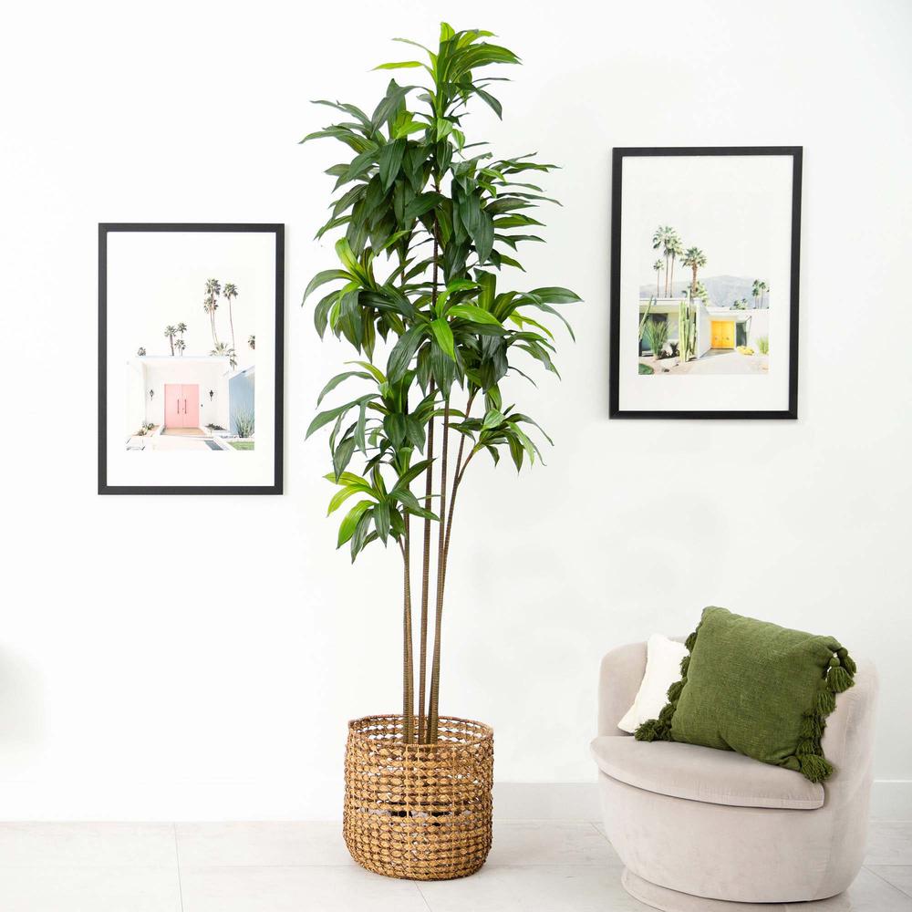 10ft. Artificial Dracaena Tree with Real Touch Leaves. Picture 5