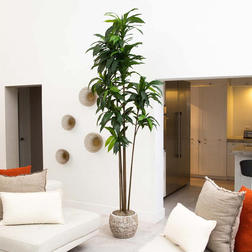 10ft. Artificial Dracaena Tree with Real Touch Leaves. Picture 3