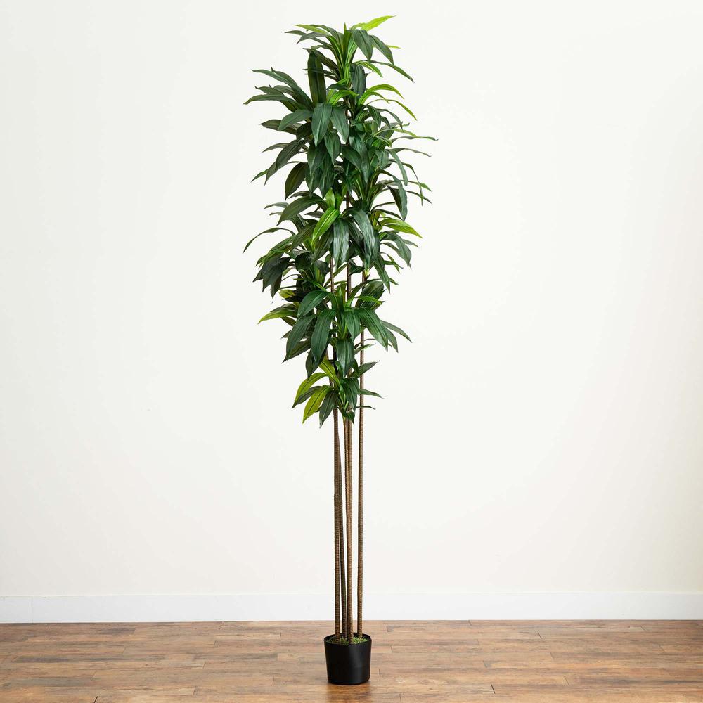 10ft. Artificial Dracaena Tree with Real Touch Leaves. Picture 4