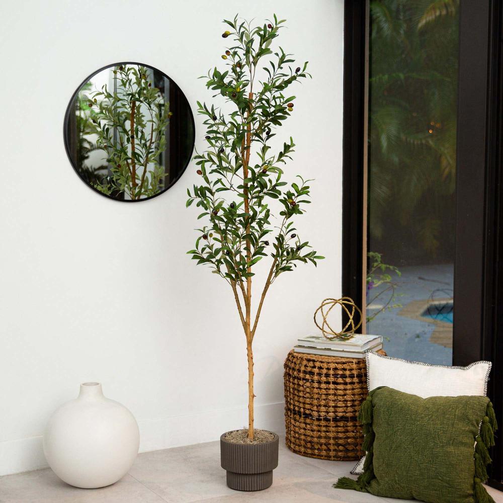 6ft. Artificial Olive Tree with Natural Trunk. Picture 6