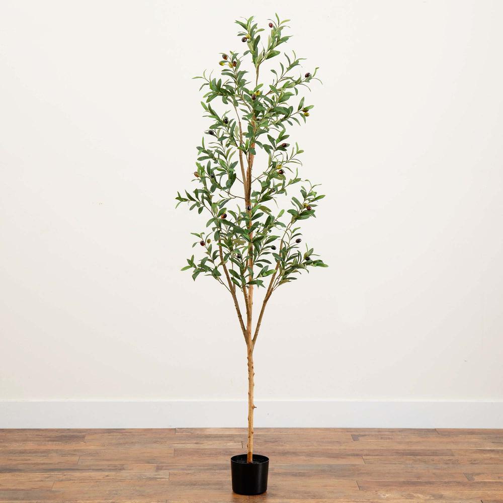 6ft. Artificial Olive Tree with Natural Trunk. Picture 5