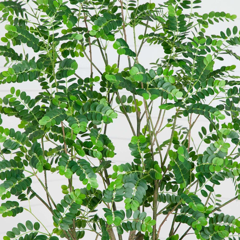 7ft. Artificial Greco Citrus Tree with Real Touch Leaves. Picture 2