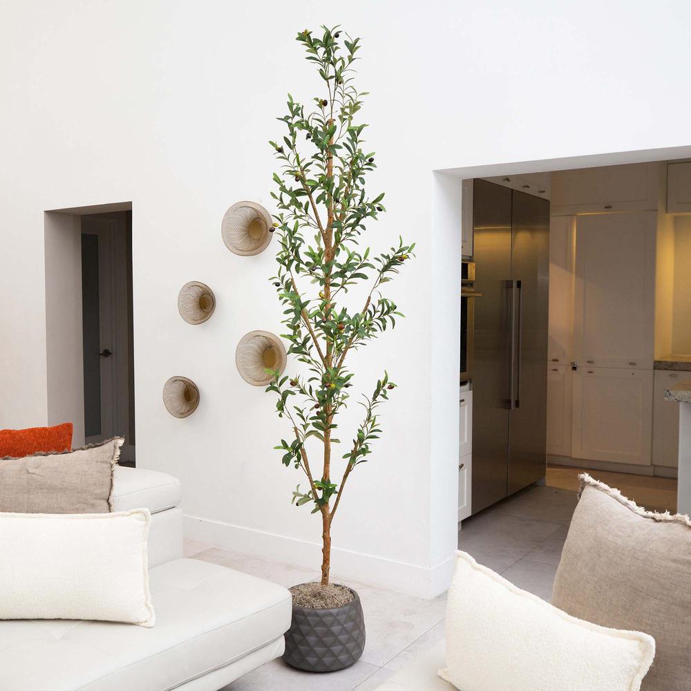 8ft. Artificial Olive Tree with Natural Trunk. Picture 5