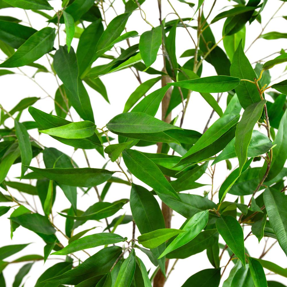 7ft. Artificial Long Leaf Greco Eucalyptus Tree with Real Touch Leaves. Picture 2