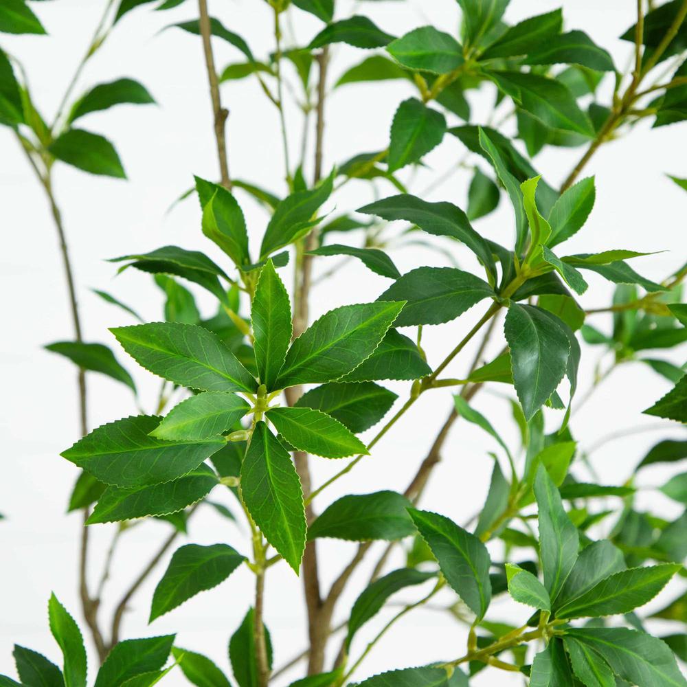 7ft. Artificial Minimalist Japanese Pieris Tree with Real Touch Leaves. Picture 2