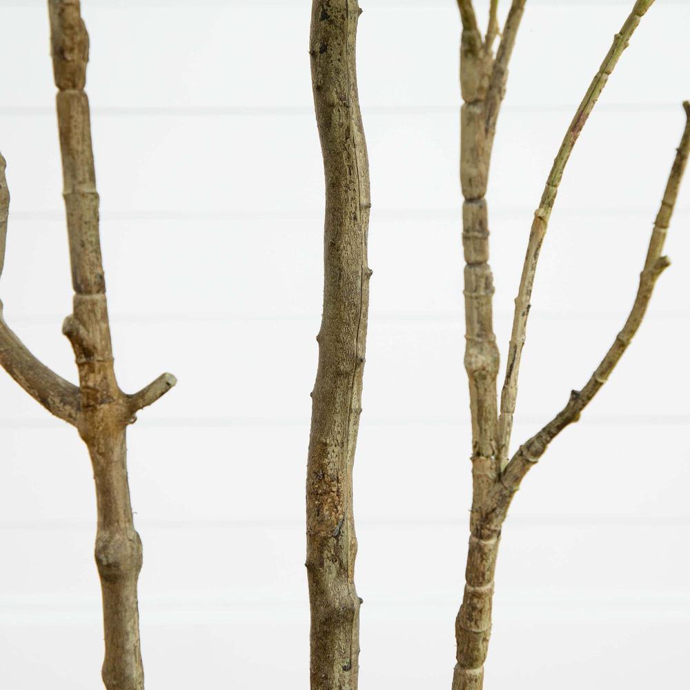 7ft. Artificial Minimalist Japanese Pieris Tree with Real Touch Leaves. Picture 3