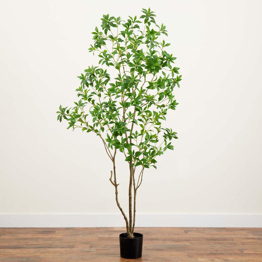 7ft. Artificial Minimalist Japanese Pieris Tree with Real Touch Leaves. Picture 4