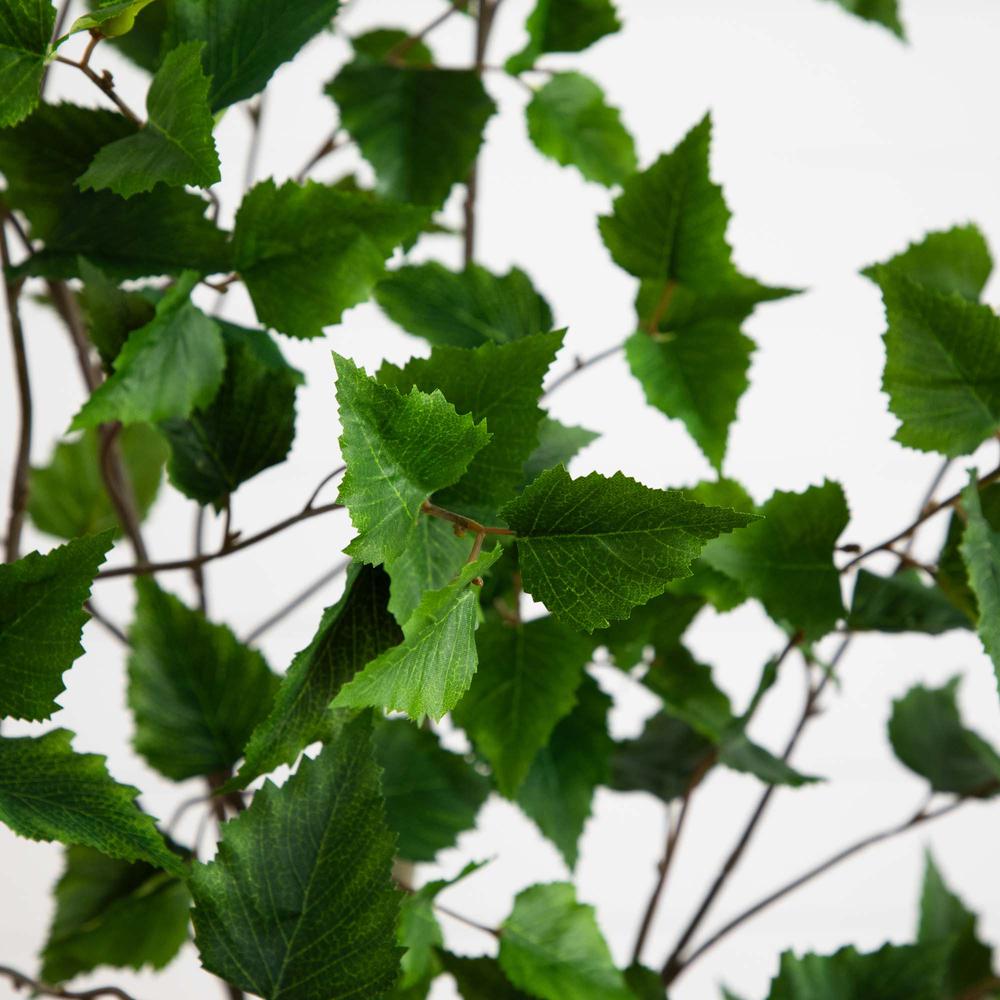 6ft. Artificial Birch Tree with Real Touch Leaves. Picture 2