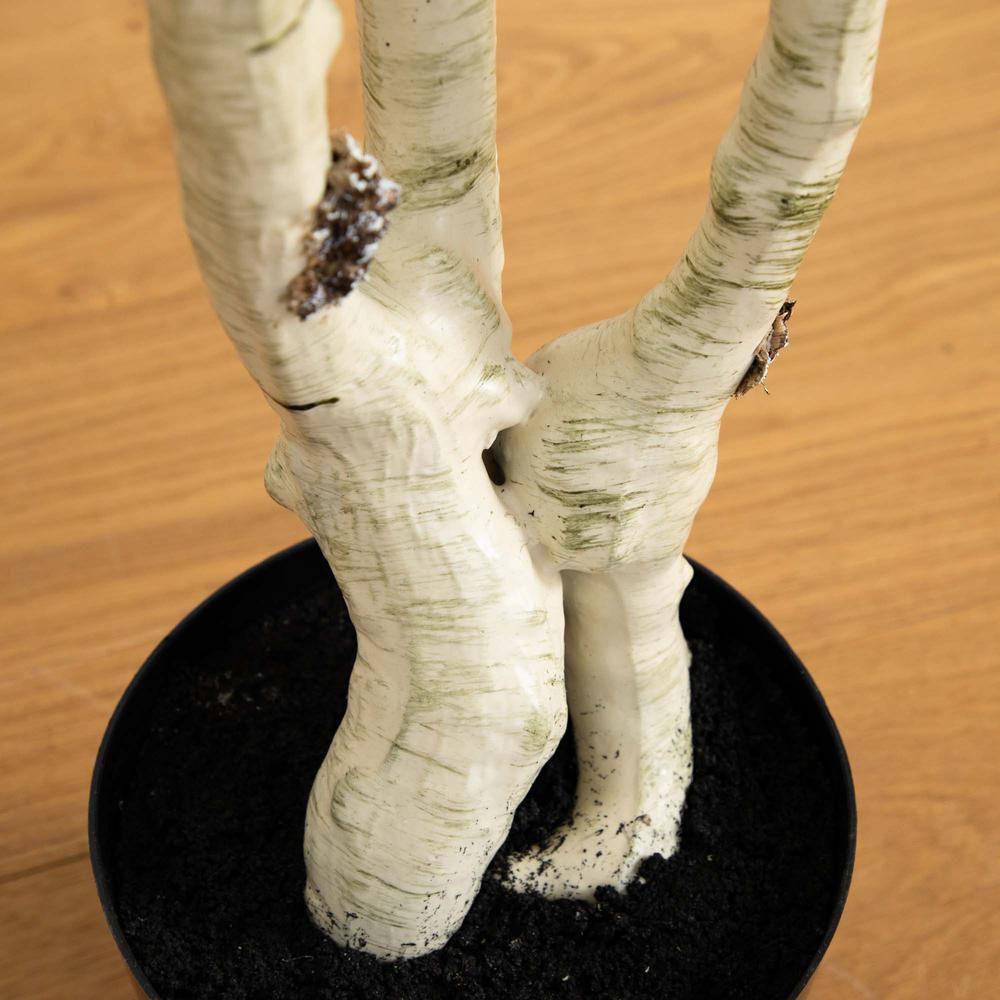 6ft. Artificial Birch Tree with Real Touch Leaves. Picture 5