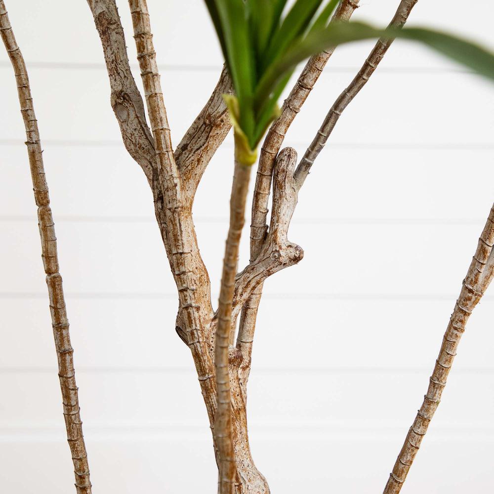 6ft. Artificial Dracaena Tree. Picture 4