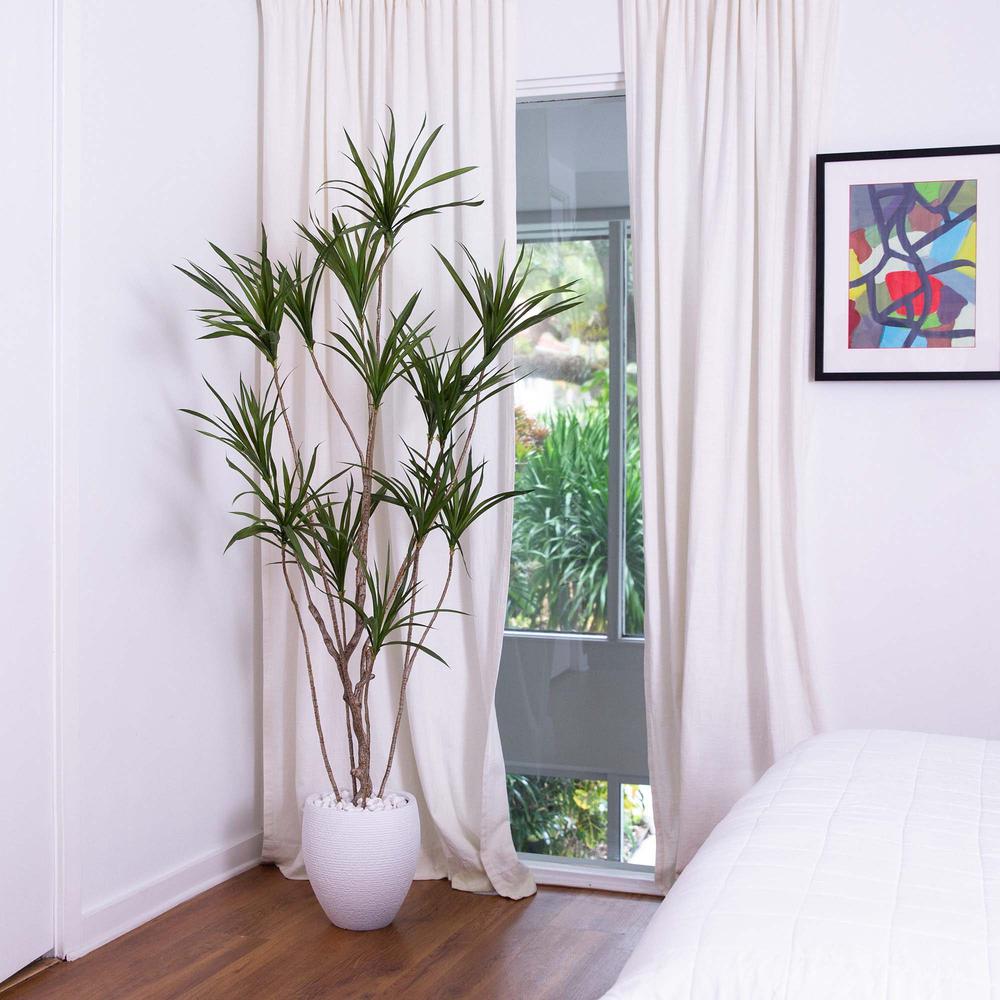 6ft. Artificial Dracaena Tree. Picture 5