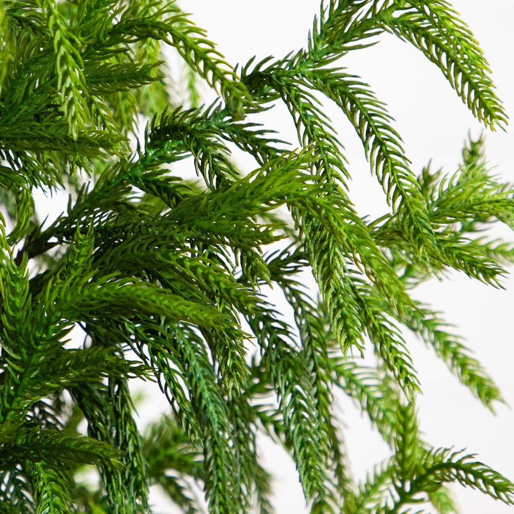 5ft. Artificial Norfolk Pine Tree. Picture 3