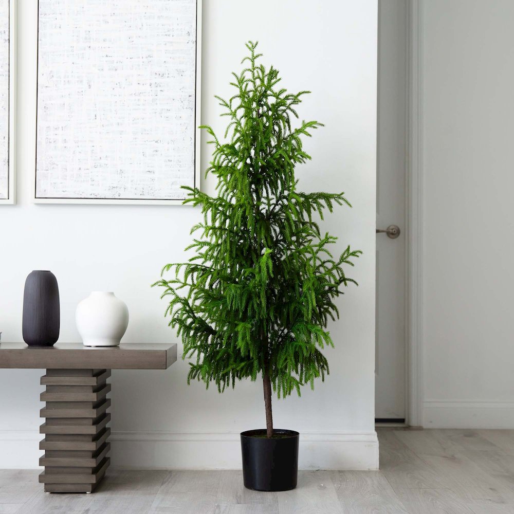 5ft. Artificial Norfolk Pine Tree. Picture 7