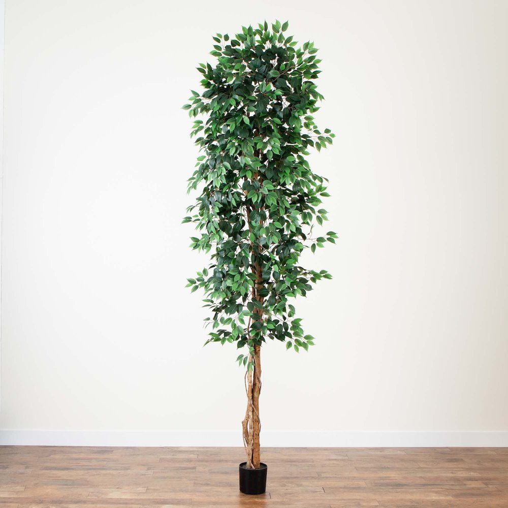 10ft. Artificial Ficus Tree. Picture 4