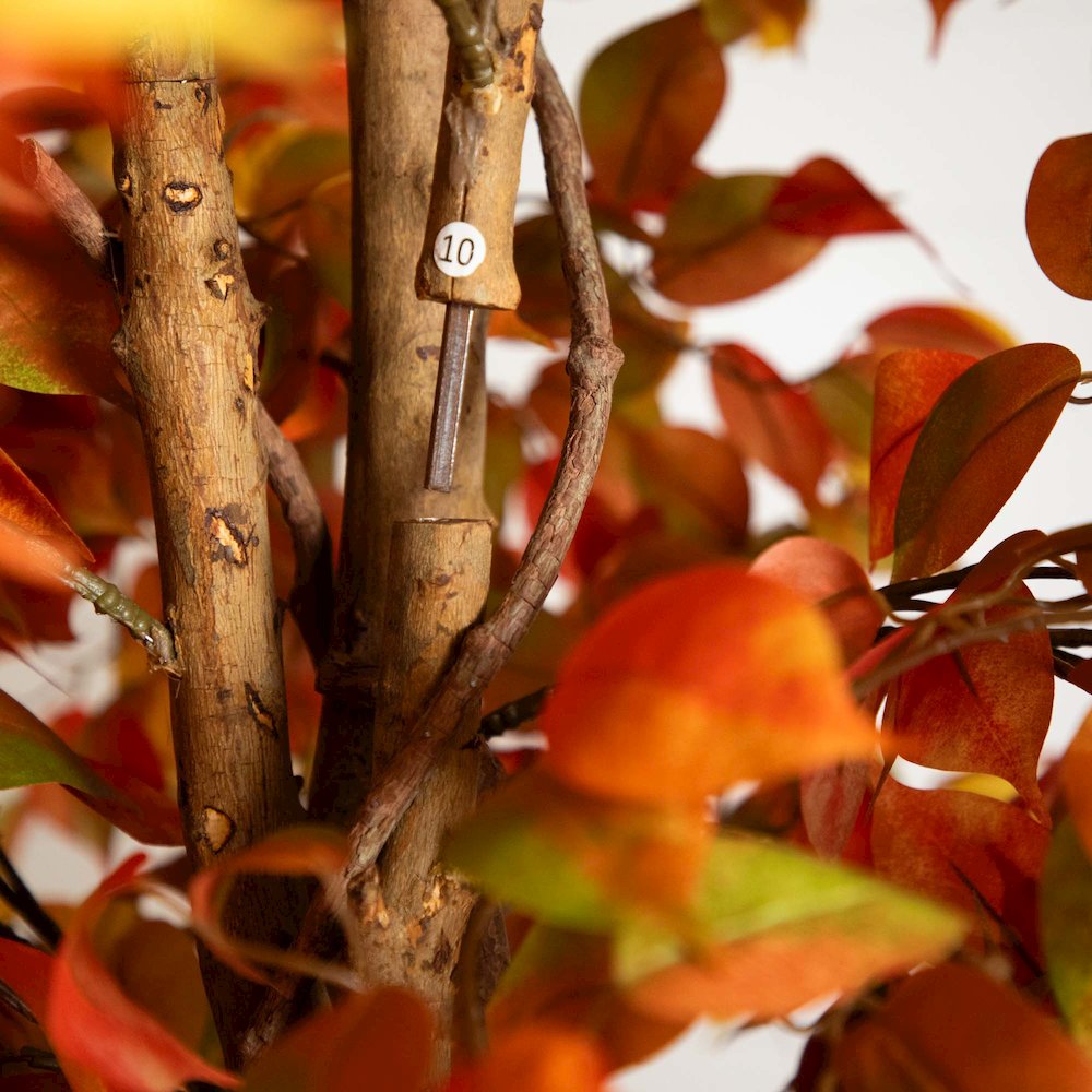 10ft. Autumn Ficus Artificial Fall Tree. Picture 5