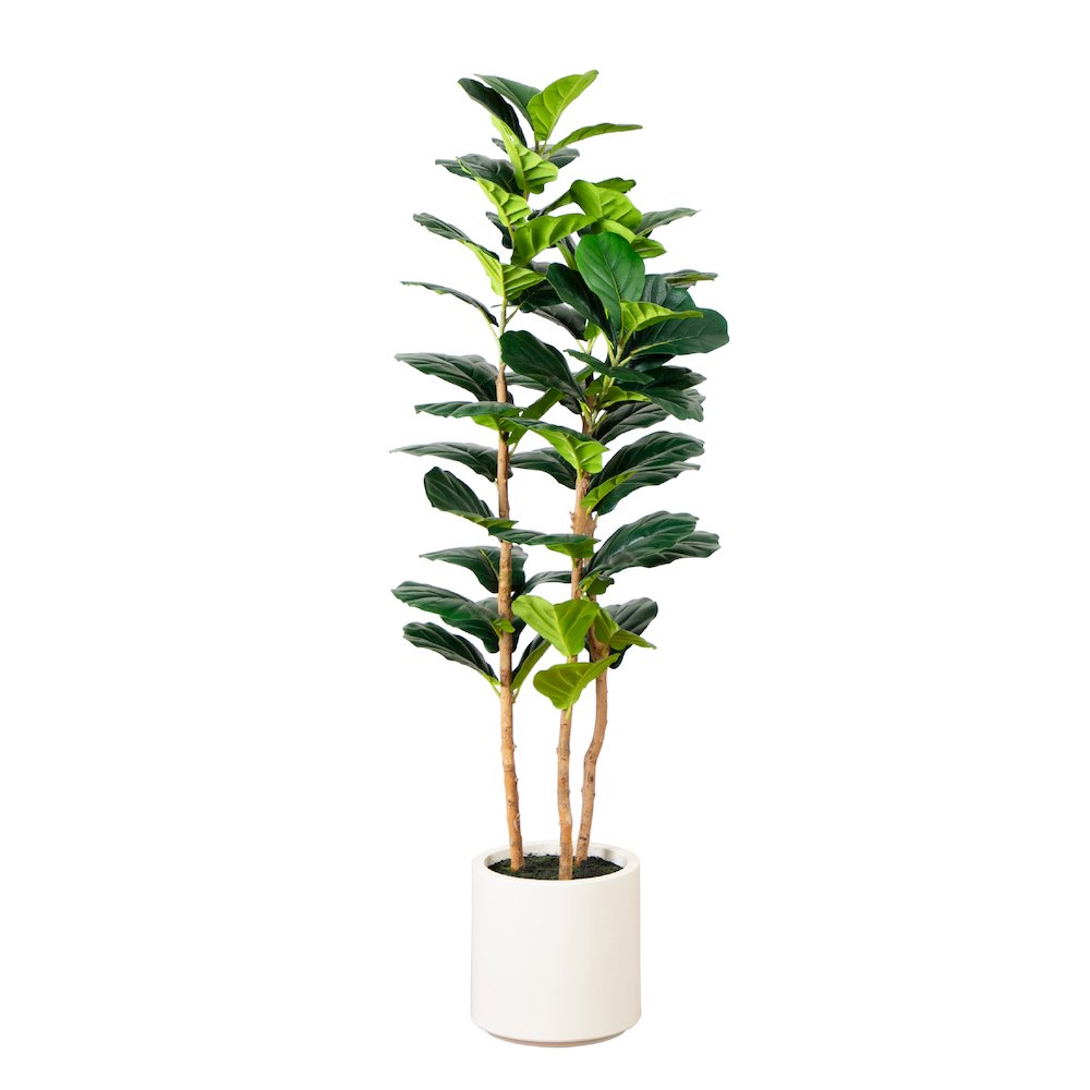 5ft. Artificial Fiddle Leaf Tree in Decorative White Planter. Picture 7