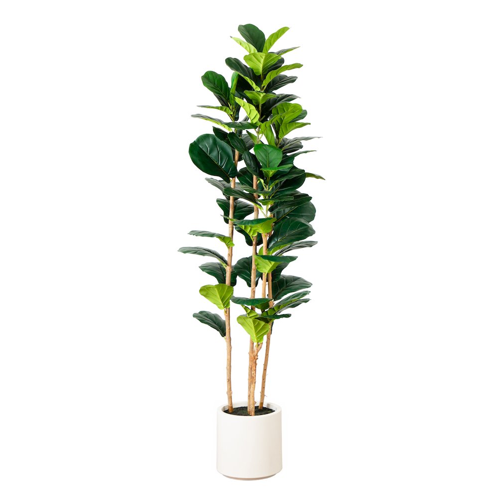 6ft. Artificial Fiddle Leaf Tree in Decorative White Planter. Picture 1