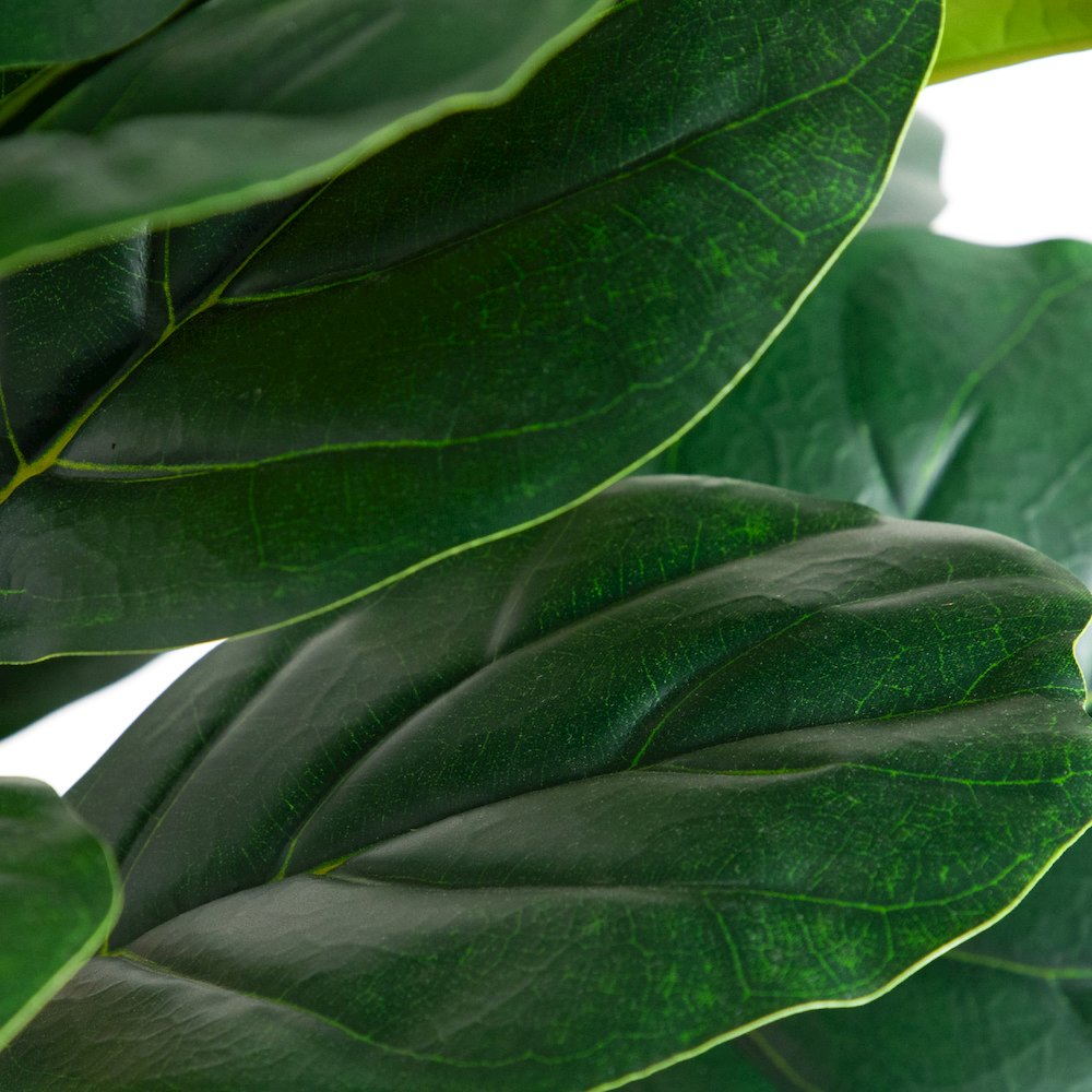 6ft. Artificial Fiddle Leaf Tree in Decorative White Planter. Picture 7