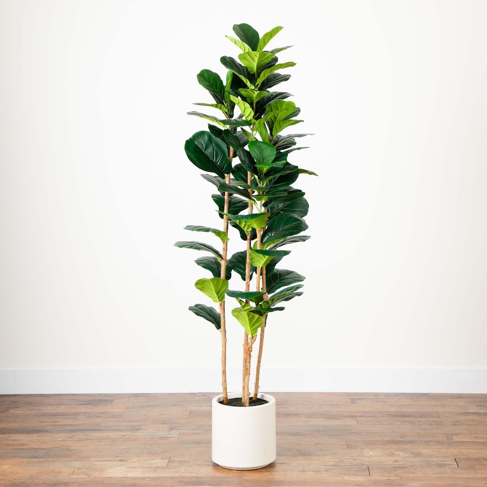 6ft. Artificial Fiddle Leaf Tree in Decorative White Planter. Picture 10
