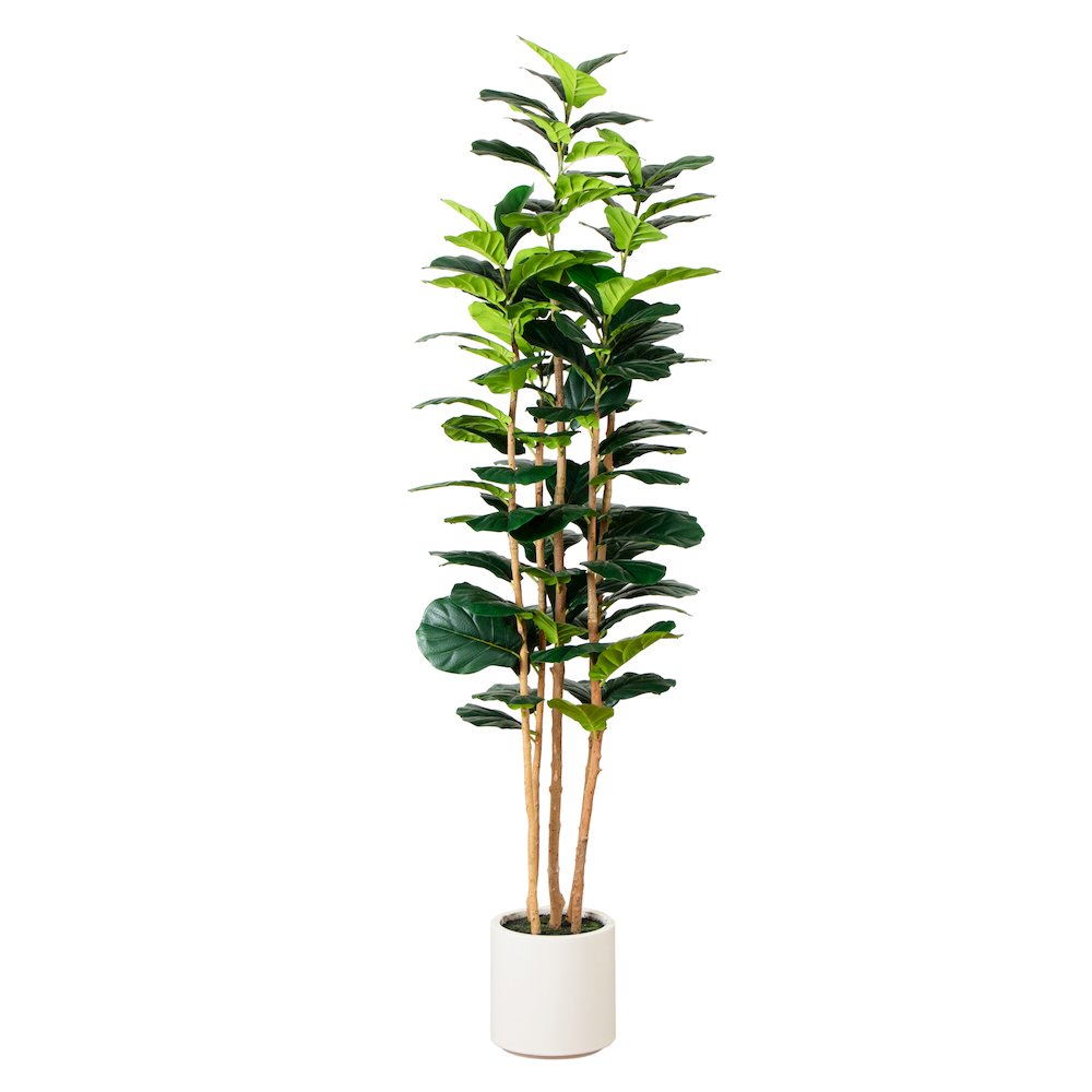 7ft. Artificial Fiddle Leaf Tree in Decorative White Planter. Picture 7
