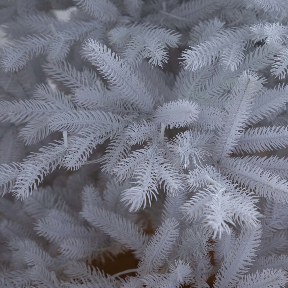 7ft. Pre-Lit Artificial White California Spruce Christmas Tree. Picture 10