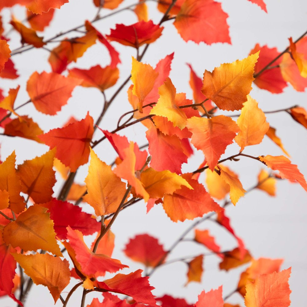 7ft. Autumn Birch Artificial Fall Tree. Picture 4