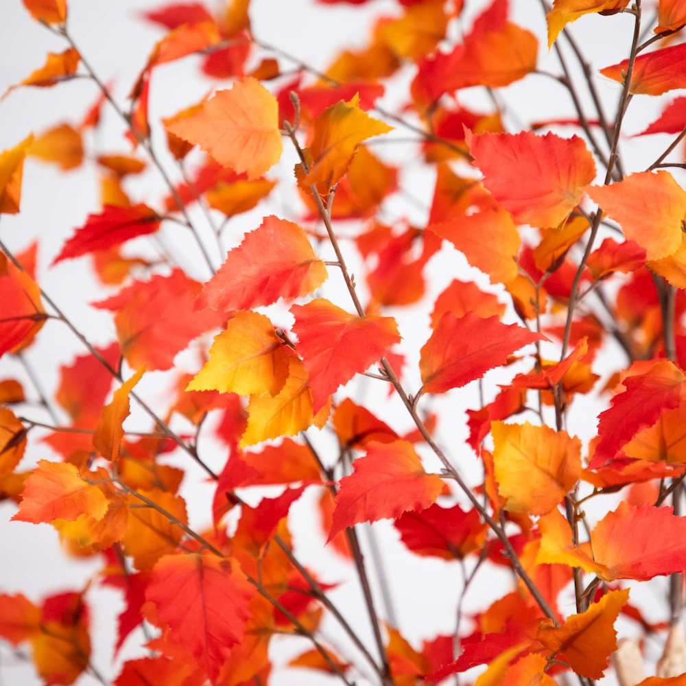 9ft. Autumn Birch Artificial Fall Tree. Picture 4