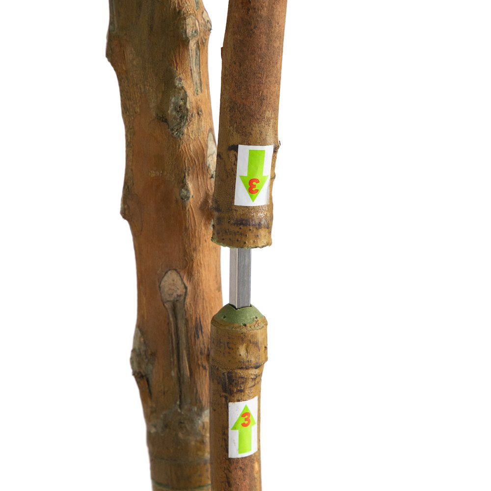 8ft. Willow Artificial Tree (Real Touch). Picture 4
