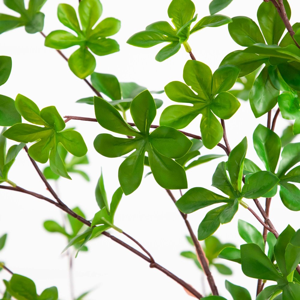 5ft. Artificial Enkianthus Tree in White Decorative Planter. Picture 2
