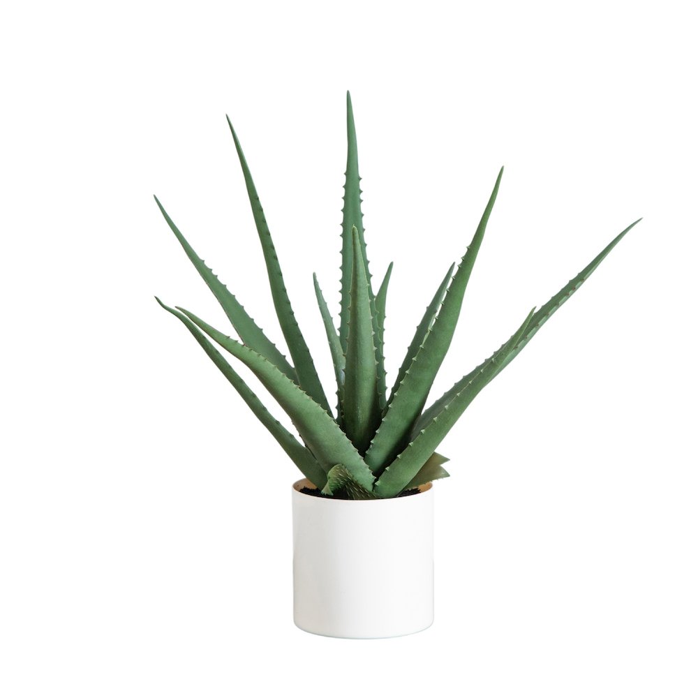 17.5in. Artificial Agave Plant. Picture 1